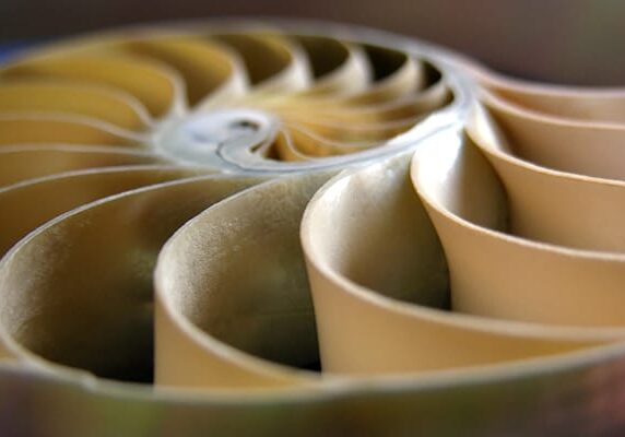 shell_new02jpg
